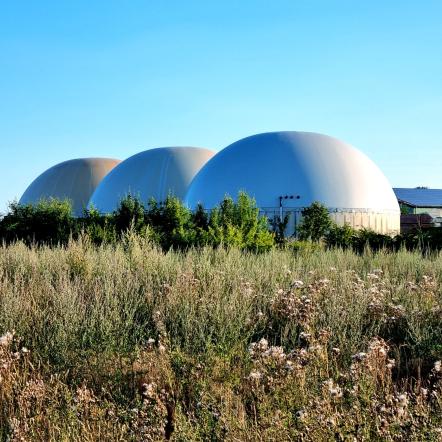 Biogas Renera